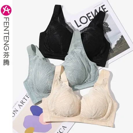 芬腾睡眠文胸女上托聚拢防下垂收副乳无钢圈性感蕾丝舒适女士内衣商品大图