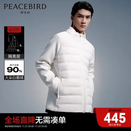 太平鸟男装 羽绒服B1ACC4X08商品大图