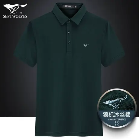 七匹狼小狼标男装Polo衫男士夏季薄款透气时尚休闲商务短袖T恤男商品大图