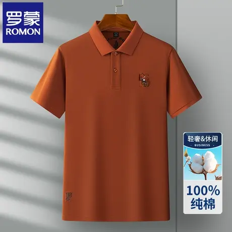 罗蒙高端纯棉刺绣POLO衫男士短袖t恤夏季薄款简约休闲翻领上衣N2Z商品大图