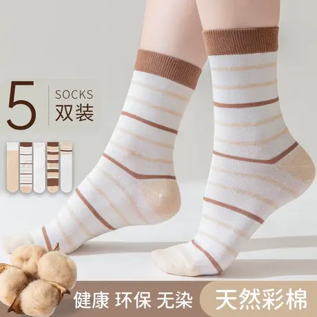 顶瓜瓜袜子女款2024新款四季款顶呱呱女士彩棉条纹基础中筒袜5双商品大图