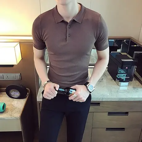 精致小翻领莫兰迪色系T恤男半袖夏天冰丝凉感针织短袖百搭POLO衫商品大图