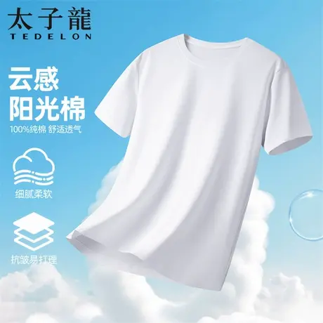 【100棉+商场同款】太子龙短袖T恤男2025夏季薄款宽松圆领打底衫图片