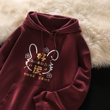 兔年本命年卫衣女秋冬2024新款加绒加厚ins潮牌宽松chic港味外套商品大图