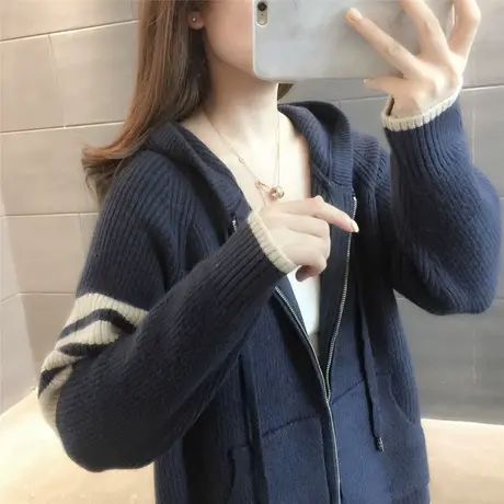 毛衣2023年新款女装秋冬季秋款秋装女士针织开衫宽松百搭外穿爆款图片