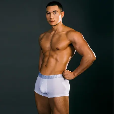 【拍3件69/5件99】Asianbum男士内裤四角短裤纯棉平角简约中腰裤商品大图
