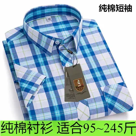正品啄木鸟男中青年纯棉格子薄款短袖衬衫全棉宽松大码胖子衬衣图片