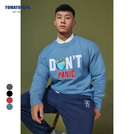 TOMATOPAPA原创秋冬新款毛衣个性刺绣欧美英文logo针织衫男士外套商品大图