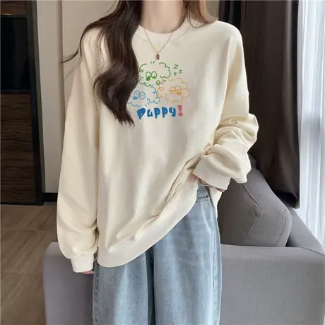 圆领无帽卫衣女薄款早春秋冬季2024年新款宽松显瘦chic港味上衣服商品大图