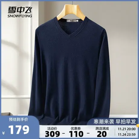 雪中飞2023秋冬新款男100纯羊毛衫休闲百搭时尚V领长袖针织衫舒适图片