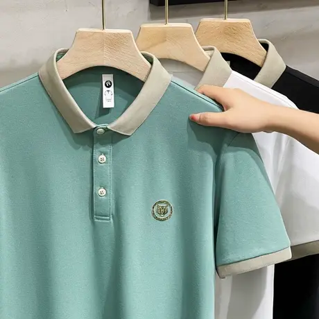 polo衫男士高级感夏季高端虎头刺绣潮牌ins短袖t恤宽松保罗菠萝衫商品大图