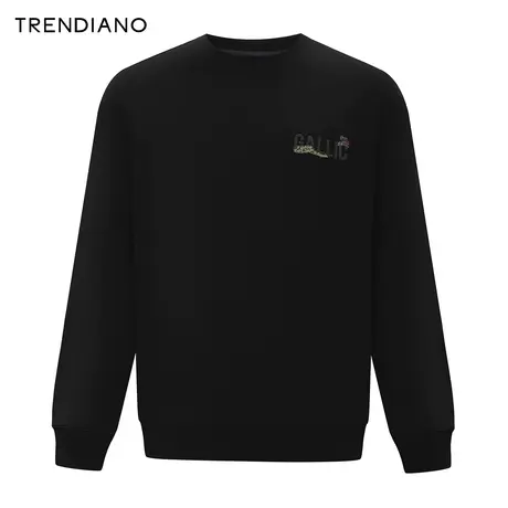 TRENDIANO立体贴绣插画卫衣2024年春季新款宽松休闲圆领上衣男生商品大图