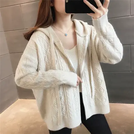 连帽毛衣女拉链外套女秋季2023新款韩版宽松针织开衫外搭秋ins潮图片