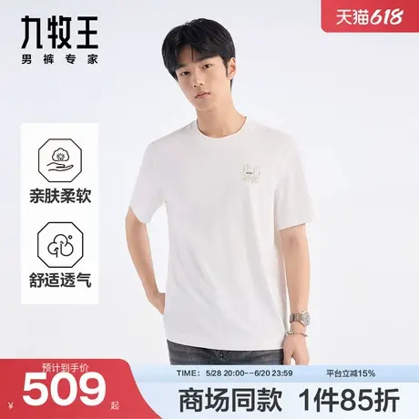 [商场同款]九牧王男装2025夏季新款亲肤透气男款短袖T恤JT4E244图片