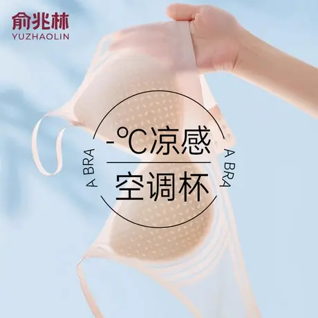 俞兆林无痕内衣女士夏季超薄款冰丝大胸显小胸聚拢收副乳美背文胸商品大图