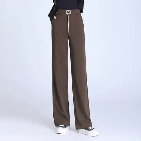 显瘦直筒筷子裤女裤子秋季2023新款高腰垂感休闲长裤窄版阔腿裤子图片