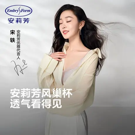 LER9风巢杯宋轶同款安莉芳薄款文胸女士大胸显小内衣商品大图