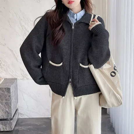 唐狮秋冬毛衣外套女简约百搭翻领拉链针织开衫春秋高级感时尚tu商品大图