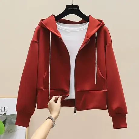 欧洲站2023春秋新款抽绳连帽卫衣女外套拉链短款开衫欧货爆款上衣图片