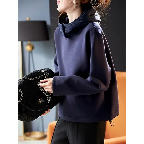 宝诗黎拼接连帽棉质套头卫衣女春季长袖2024新款宽松纯色短款上衣商品大图