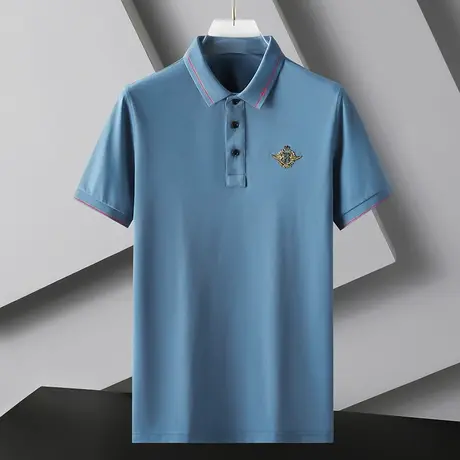 男士短袖翻领POLO衫夏季套头打底衫2022年新款个性绣标休闲体恤男商品大图