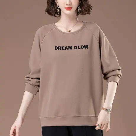 中年女士卫衣春秋新款加肥加大码女装宽松圆领遮肚子显瘦妈妈上衣图片