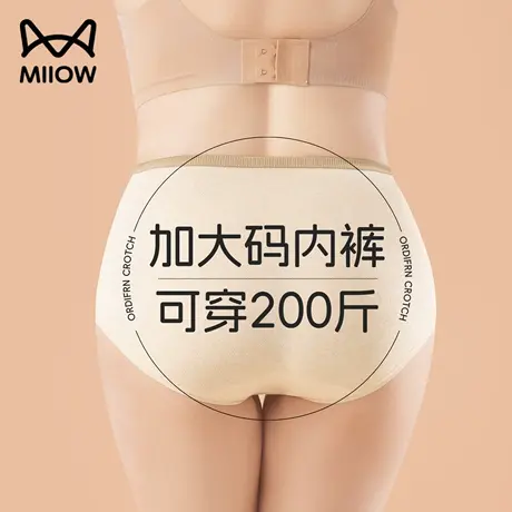 内裤女士纯棉抗菌裆2025新款全棉裆少女生中腰透气三角裤短裤商品大图