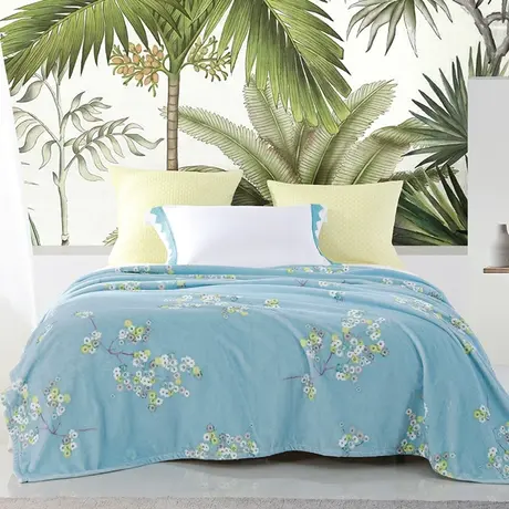 TG梦洁家纺法兰绒毯子办公室午睡空调毛毯儿童纯色简约秋冬毯艾草商品大图