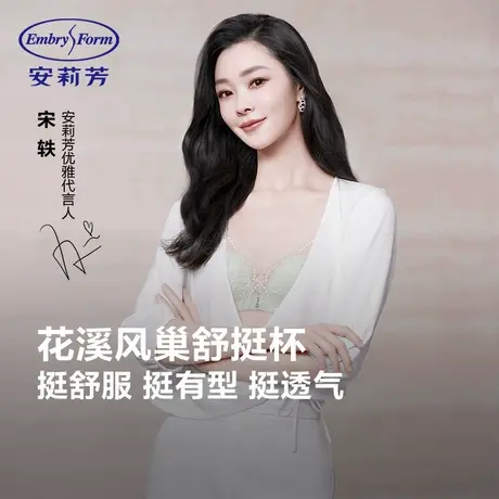 LER9【宋轶同款 风巢舒挺杯】安莉芳内衣女无钢圈小胸聚拢文胸商品大图