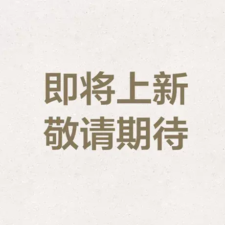 VOA（微瑕疵，不退不换）FE529-1商品大图