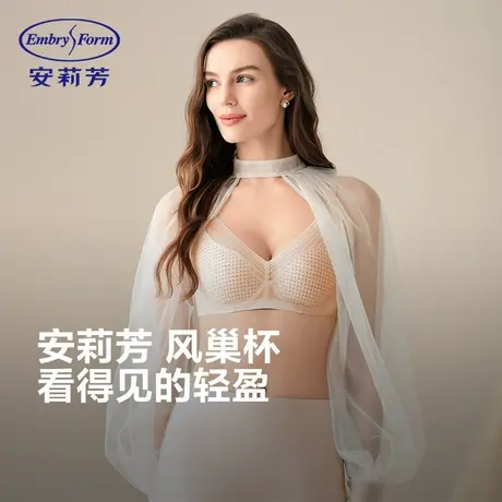 【蜜蜂心愿社】安莉芳风巢杯大胸显小内衣女软支撑文胸商品大图