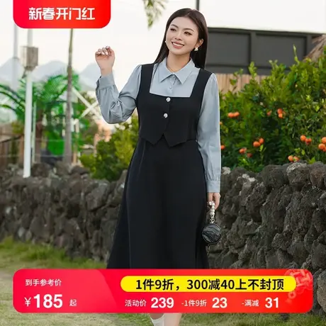 2024年春装新款气质拼接假两件套长裙A字遮肉显瘦大码胖MM连衣裙图片