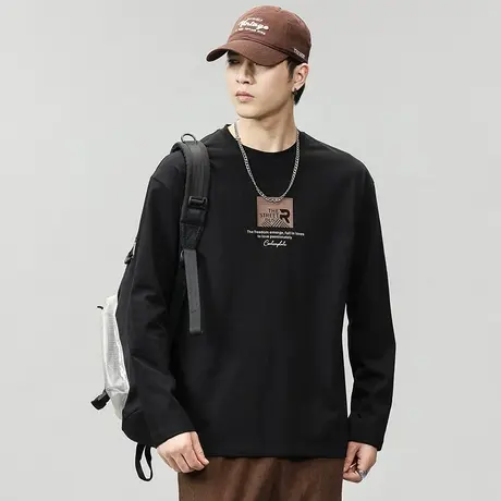 时尚潮牌秋季男装宽松舒适圆领卫衣多色可选高档男士休闲潮流卫衣图片