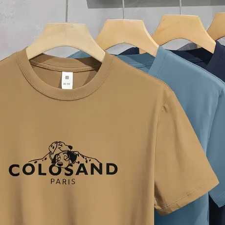 美式重磅纯棉短袖t恤男2024新款夏季圆领上衣服潮流宽松全棉半袖商品大图