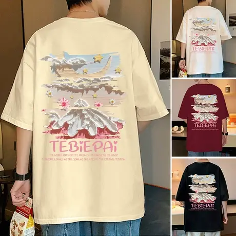 立体感印花纯棉短袖T恤男夏季设计感小众体恤宽松半袖潮牌上衣服商品大图