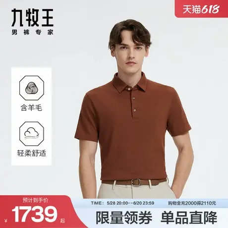 [商场同款]九牧王男装短袖T恤25春夏款JT2D25517透气百搭POLO衫图片