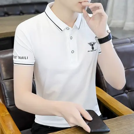 男士短袖t恤夏季潮流翻领纯棉半袖Polo衫刺绣体恤休闲上衣服男装商品大图