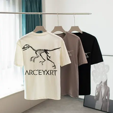 t恤男夏季宽松恐龙印花体恤重磅半袖体恤新款休闲短袖潮流ins上衣商品大图