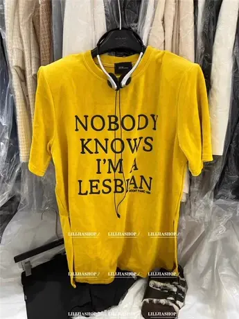 韩国东大门2024秋季新款丝绒字母T恤百搭休闲短袖开叉圆领上衣女商品大图