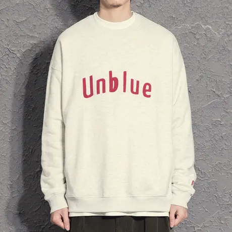 贴布绣宽松卫衣男小众设计感内搭男高级感卫衣冬款cityboy春秋款商品大图