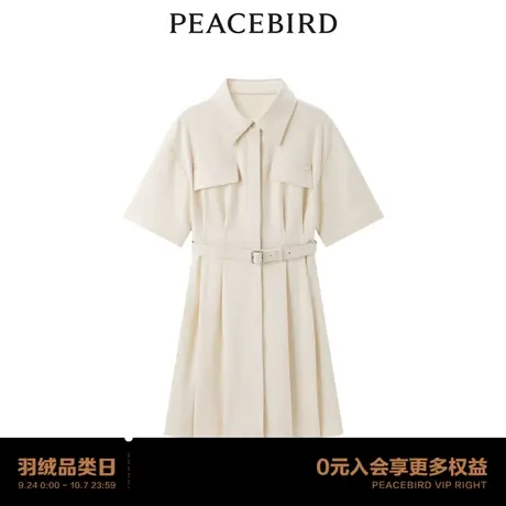 【商场同款】太平鸟女装2023年秋季新款工装连衣裙A3FAD3217图片