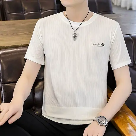 圆领冰丝短袖t恤男夏季潮牌修身透气男款上衣半袖休闲薄款体恤衫商品大图