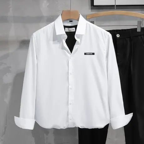 白色衬衫男长袖春秋免烫抗皱休闲衬衣高级感商务正装潮流修身寸衫商品大图