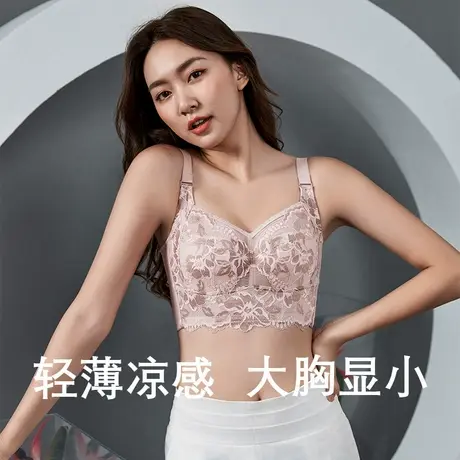 浪漫春天内衣女大胸显小无钢圈上托收副乳美背调整型性感蕾丝文胸商品大图