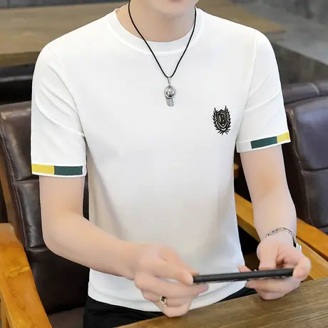 2023新款针织短袖T恤男款夏季潮牌修身冰丝圆领休闲薄款半袖体恤商品大图