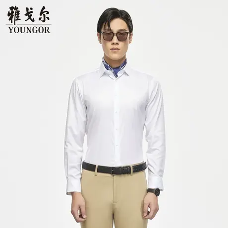 雅戈尔奥莱 男装秋季商务休闲免烫长袖衬衫男棉弹舒适百搭薄衬衣图片