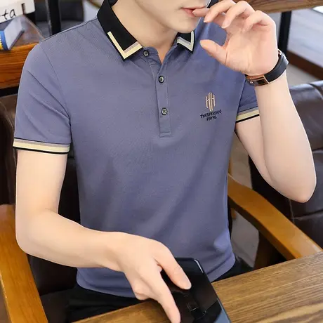 短袖t恤男Polo衫2023新款夏季修身百搭半袖体恤衫潮牌上衣爸爸装商品大图