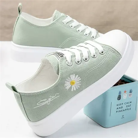 小雏菊帆布鞋女大童2023春秋季新款透气单鞋韩版学生百搭运动板鞋图片