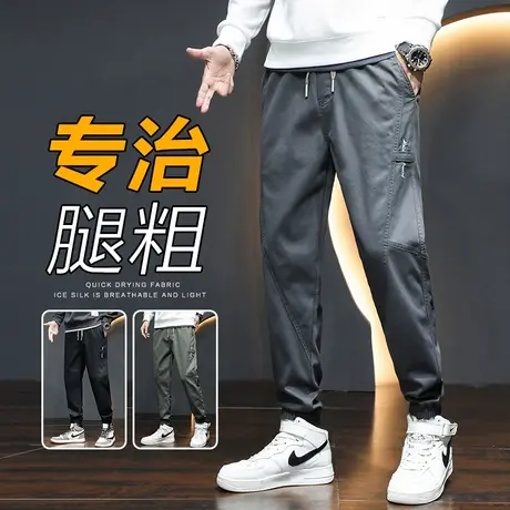 工装休闲裤子男士束脚宽松秋季春秋款男生冷淡风高级感2023年新款商品大图