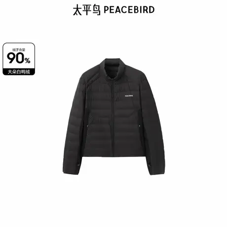 太平鸟女装2024年冬季新款羽绒服A3ACE442L图片